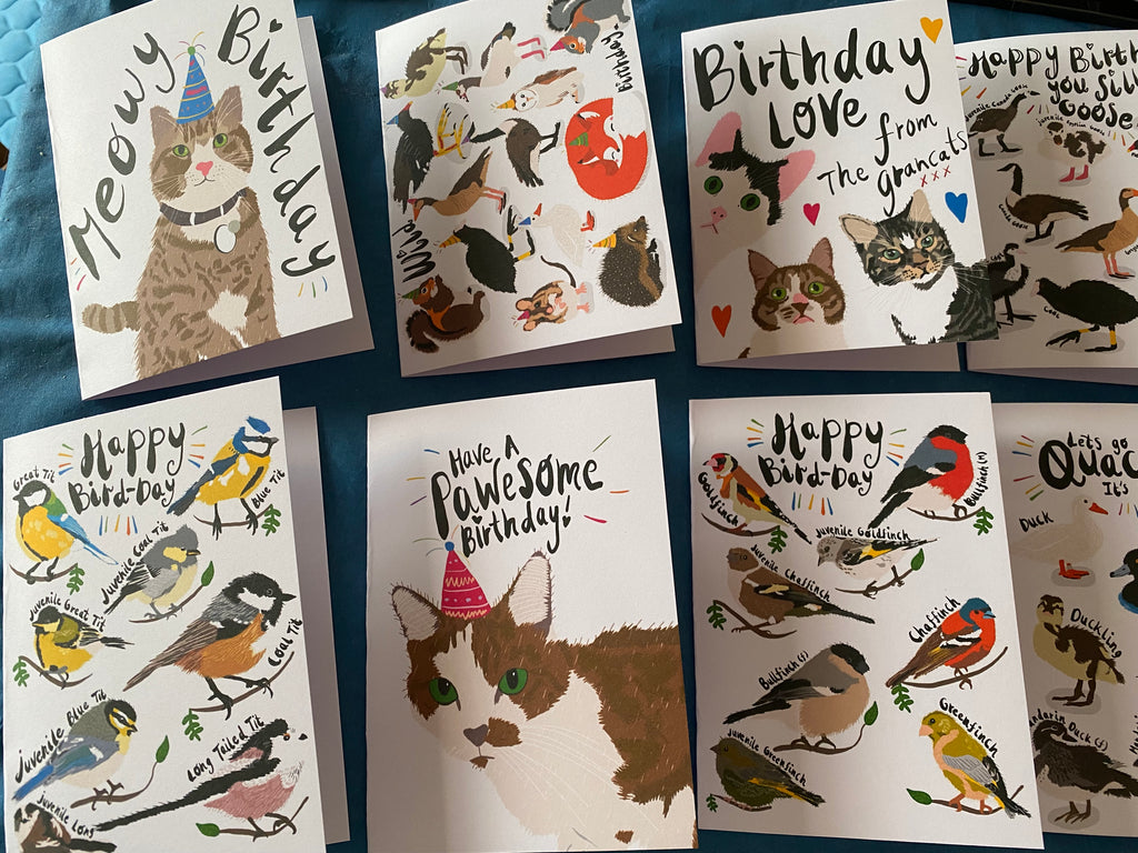 Best Selling PUNTASTIC Birthday Cards (C6)