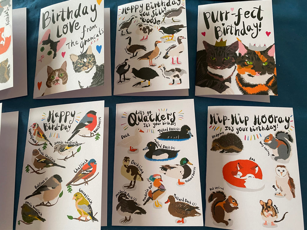 Best Selling PUNTASTIC Birthday Cards (C6)
