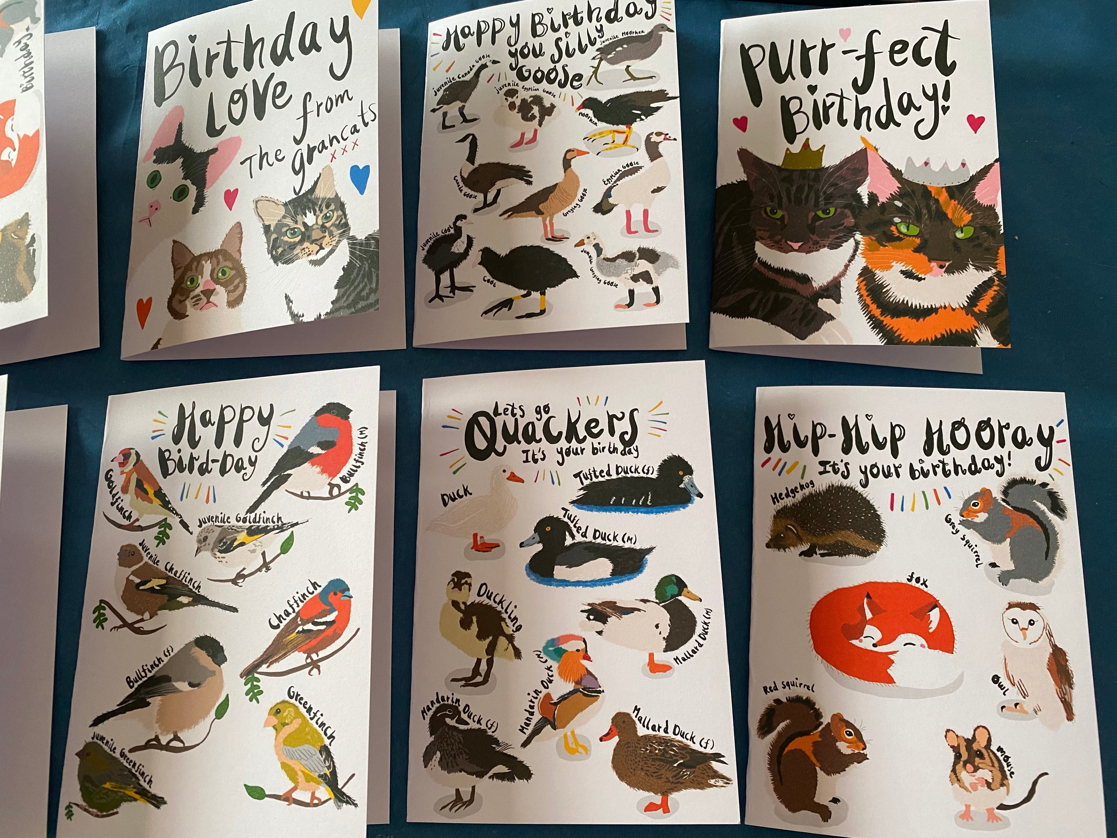 Best Selling PUNTASTIC Birthday Cards (C6)