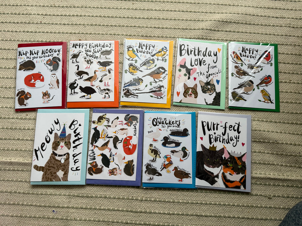 Best Selling PUNTASTIC Birthday Cards (C6)