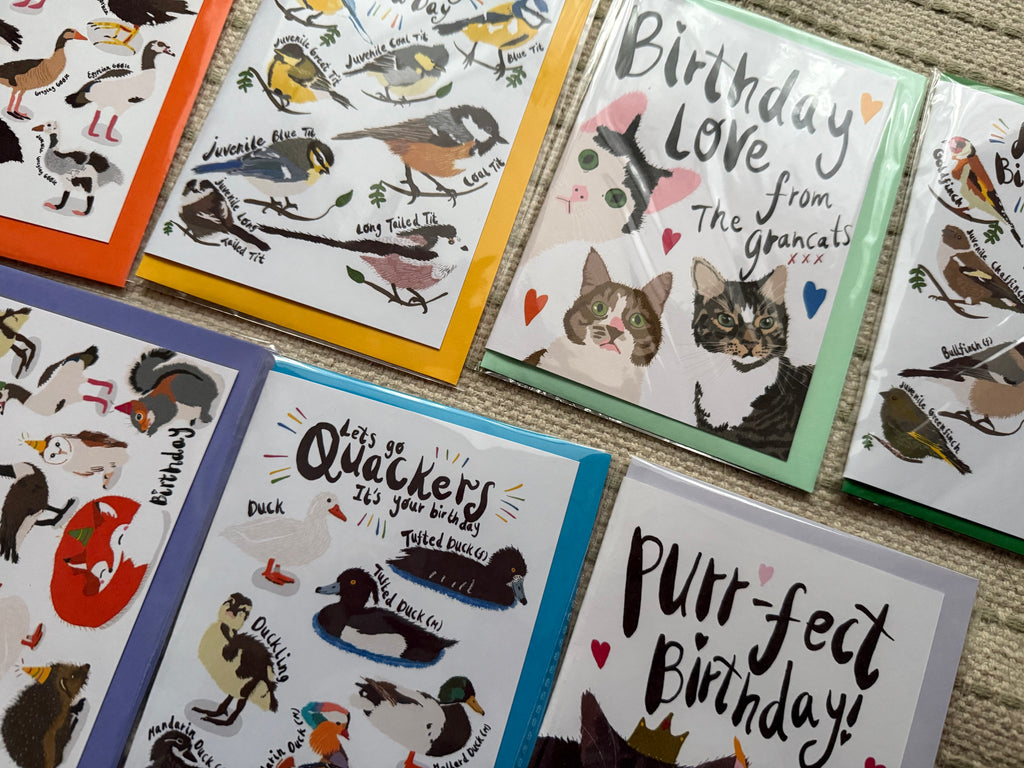 Best Selling PUNTASTIC Birthday Cards (C6)