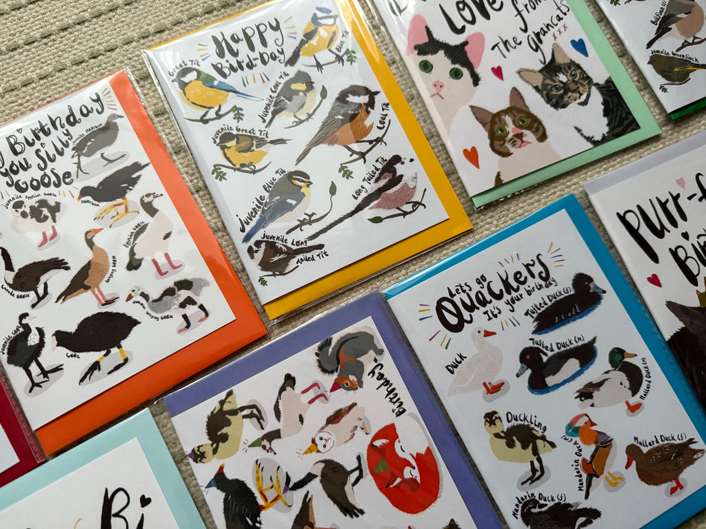 Best Selling PUNTASTIC Birthday Cards (C6)