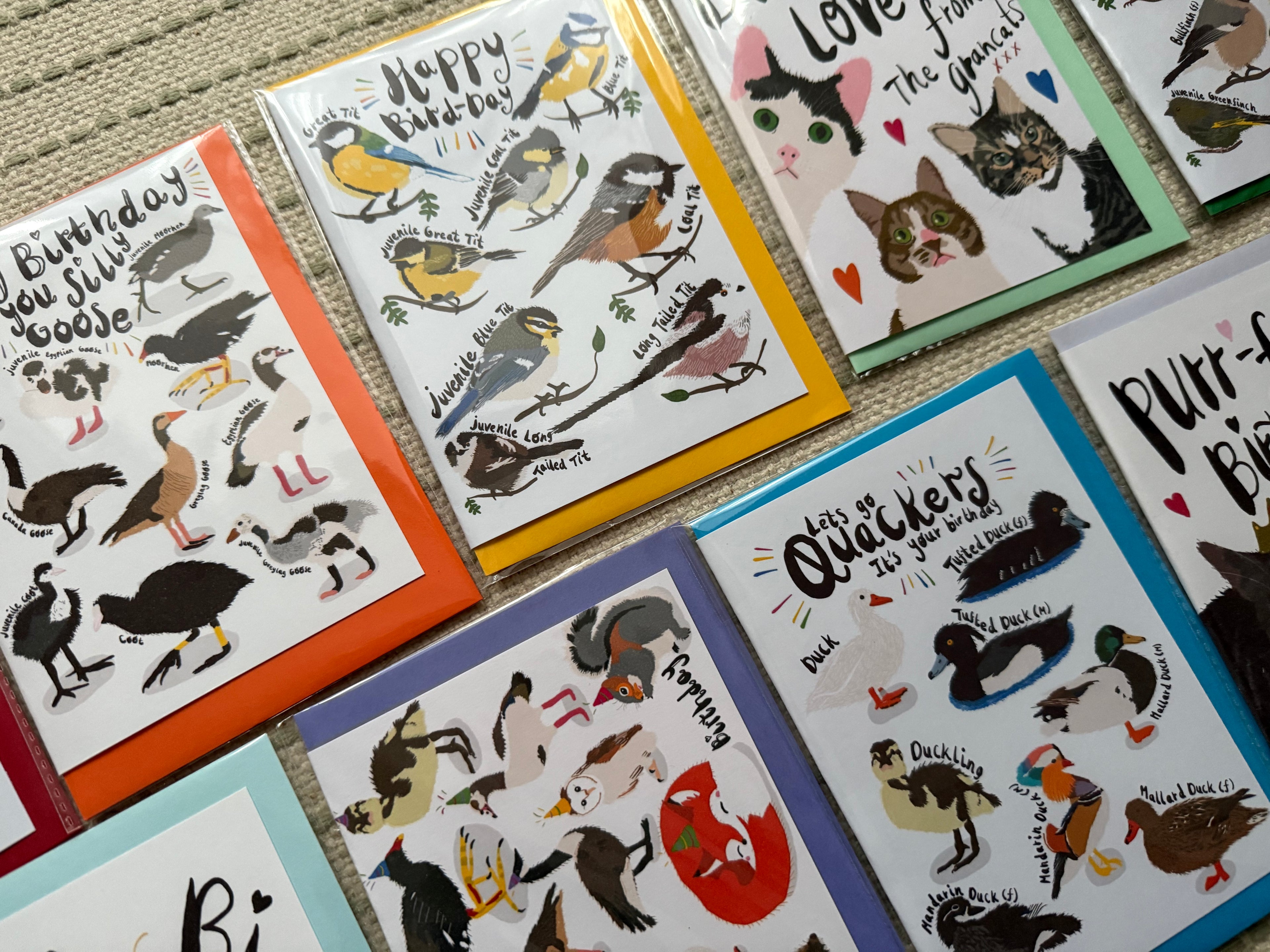 Best Selling PUNTASTIC Birthday Cards (C6)