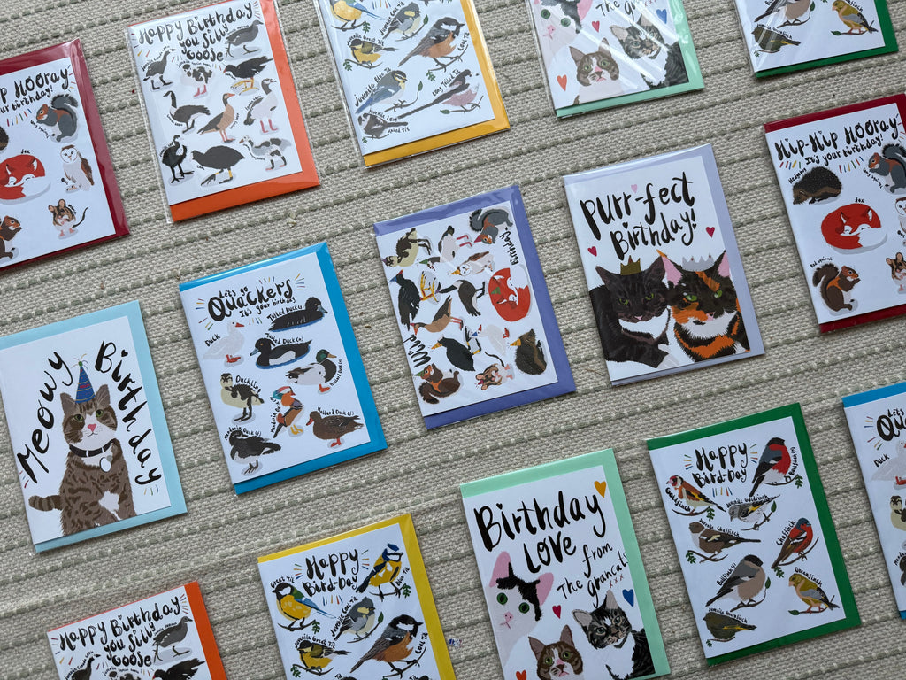 Best Selling PUNTASTIC Birthday Cards (C6)