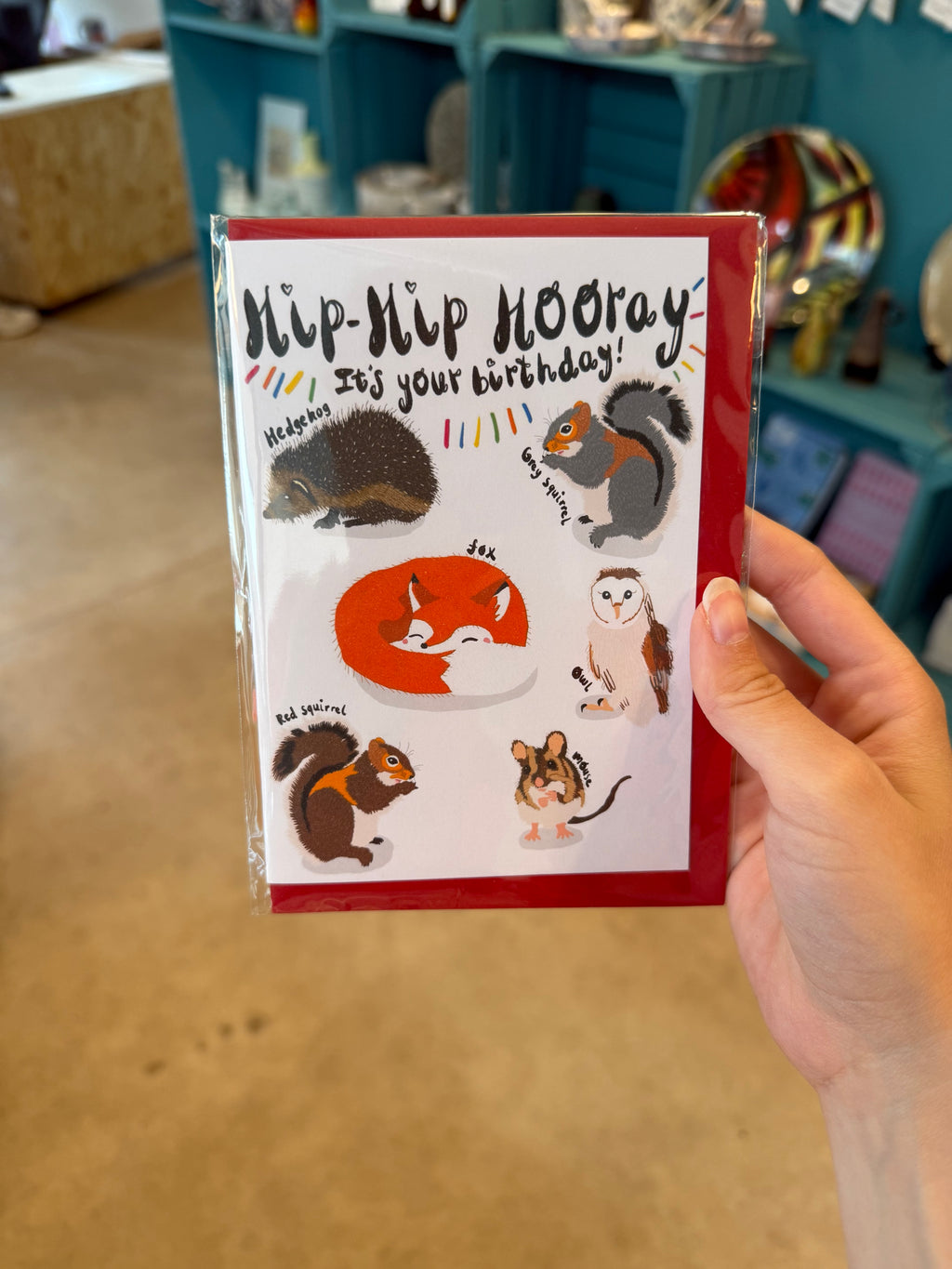 Best Selling PUNTASTIC Birthday Cards (C6)